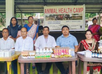 নগাঁৱৰ কাছমাৰীত বিনামূলীয়া পশু স্বাস্থ্য শিবিৰ সম্পন্ন