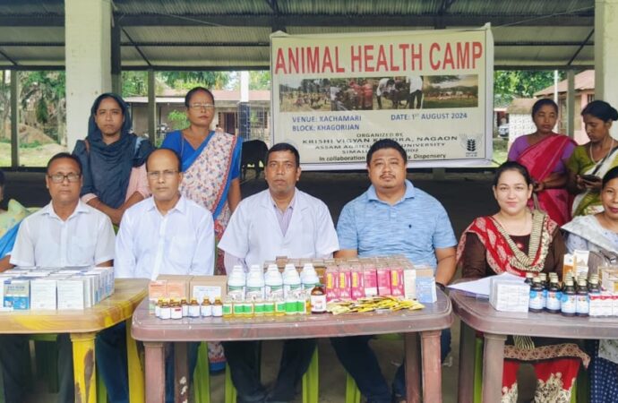 নগাঁৱৰ কাছমাৰীত বিনামূলীয়া পশু স্বাস্থ্য শিবিৰ সম্পন্ন